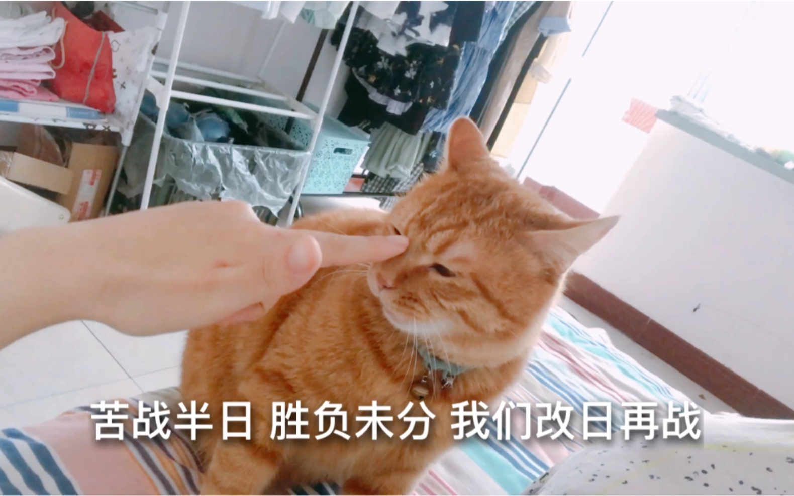 包含瑞士与比利时激战，未分胜负的词条
